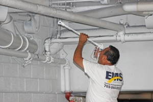 EMS Services quality painting